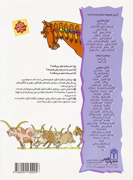 چراهای شگفت انگیز اسب ها و اسب چه ها